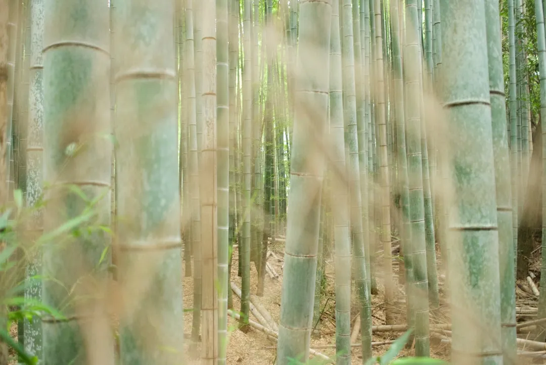 生产执行软件光盘与云端SaaS方案对比：适用场景与成本效益