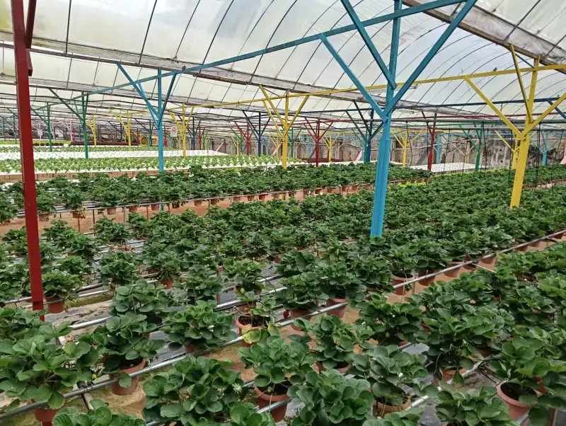 生产执行软件如何与质量追溯软件协同实现车间数字化闭环管理